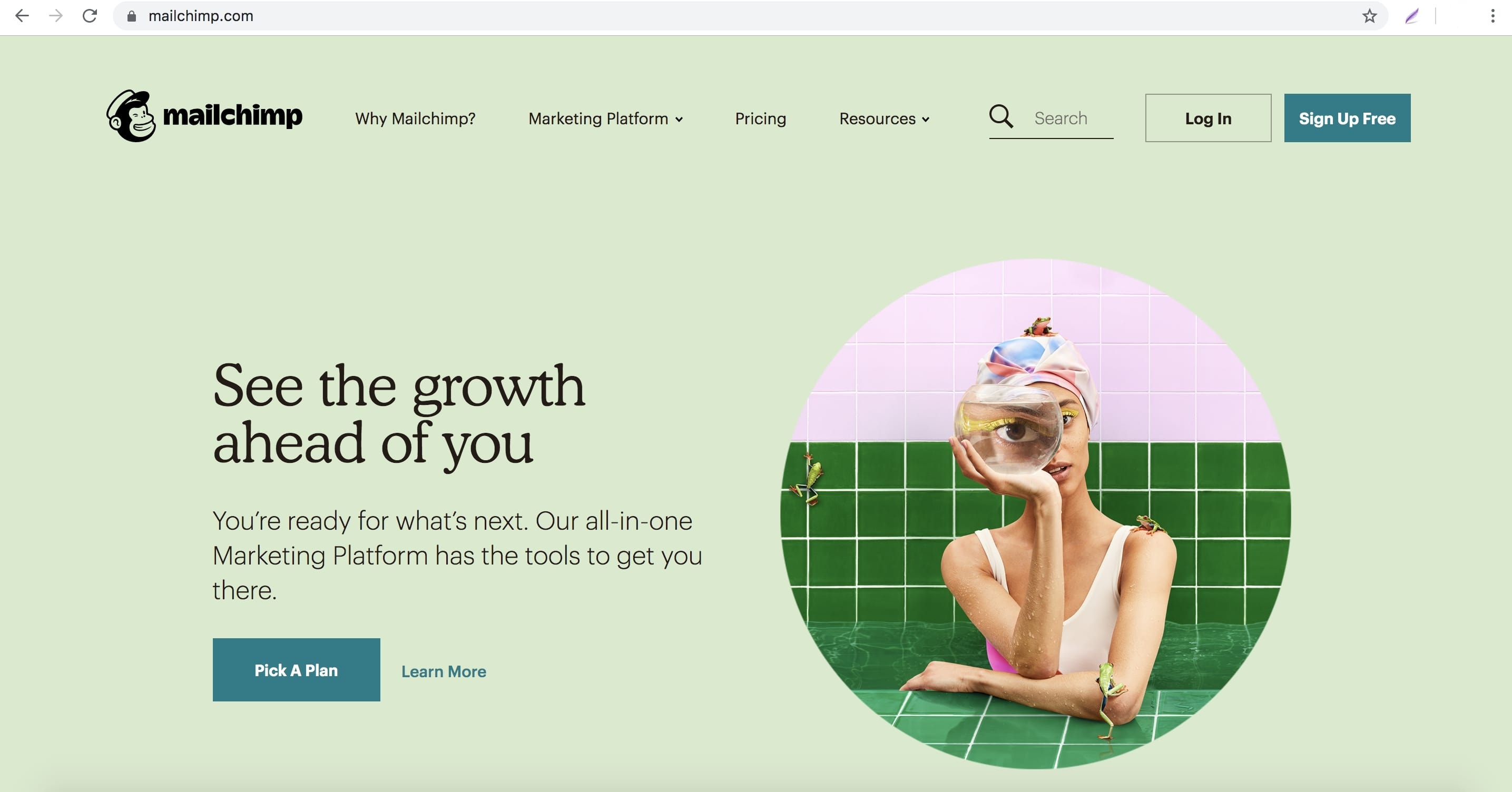 Web Application built on PHP