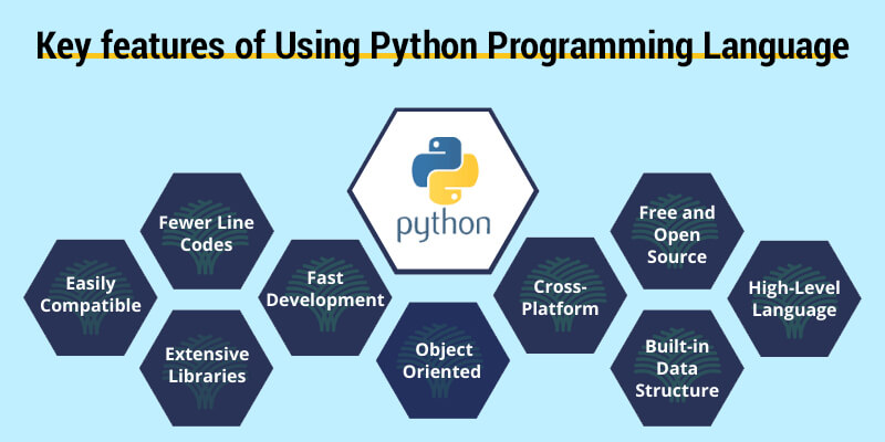 What Makes Python Tech-Giants- Google, Instagram, Facebook?