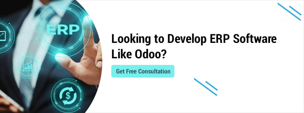Odoo like ERP Software Development