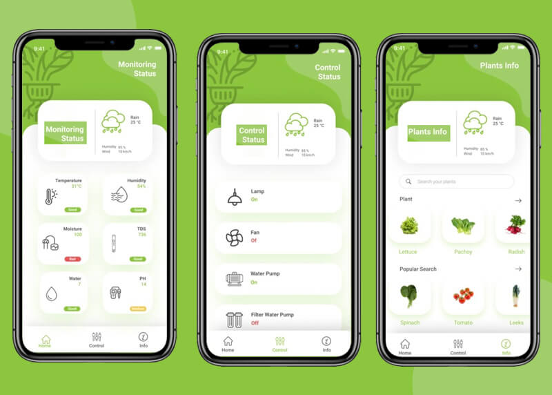 mobile app development