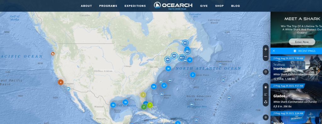 OCEARCH Shark Tracker