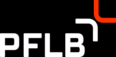 PFLB - best software testing company