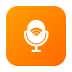 Voice Assistance