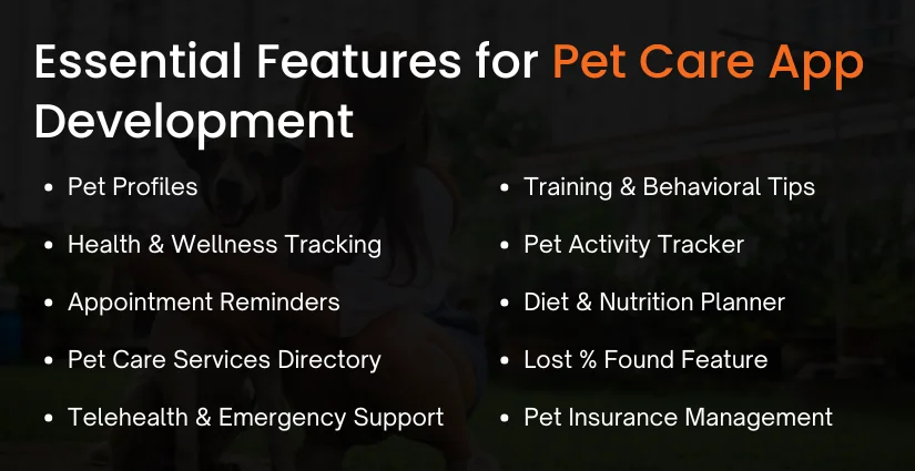 Pet Care App Development Process