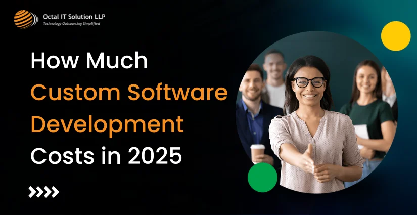 How Much Custom Software Development Costs in 2025?