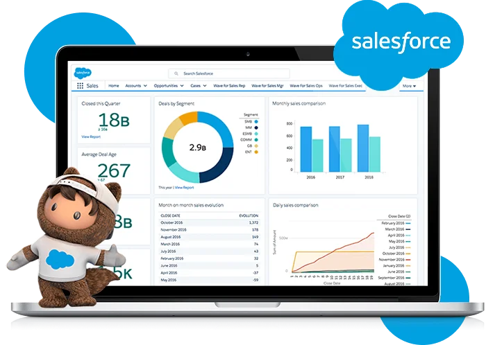 Salesforce Integration Services
