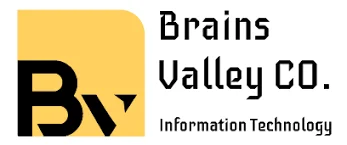 Brains IT