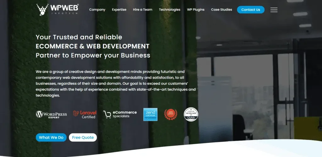 WPWeb Infotech