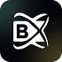 Blockchainx