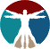 Octal IT Solution Services