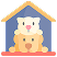 Pet Supplies Delivery App Development